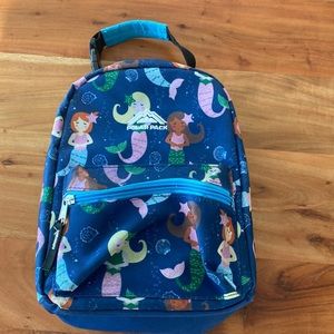 Polar Pack thermal lunch pack